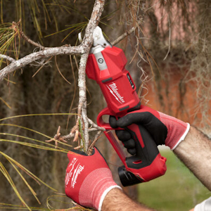 Secateurs & Shears
