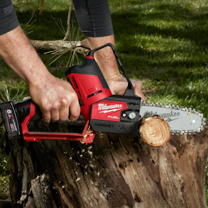 Pruning Saws